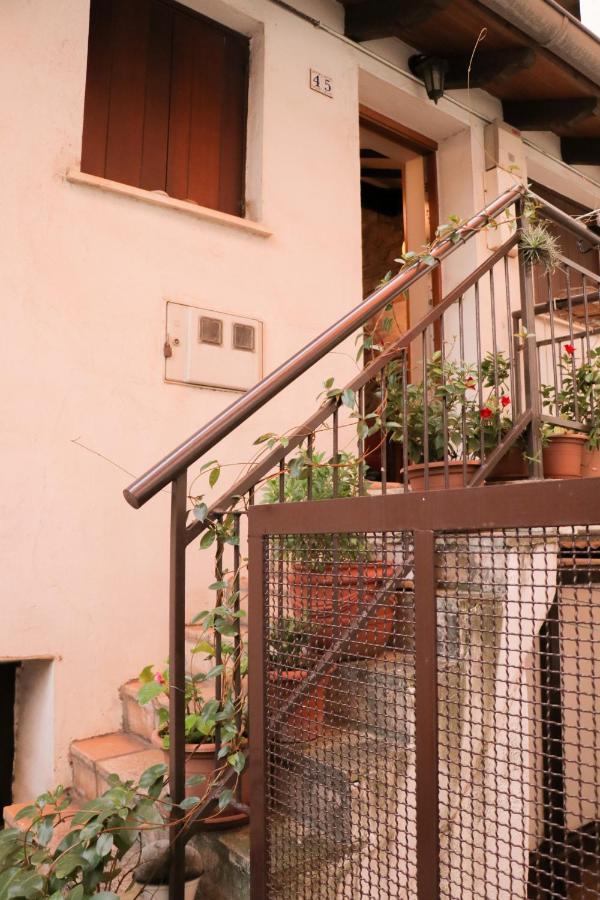 Apartamento Jaizkibel By Sanse Holidays Apartment Lezo Ngoại thất bức ảnh